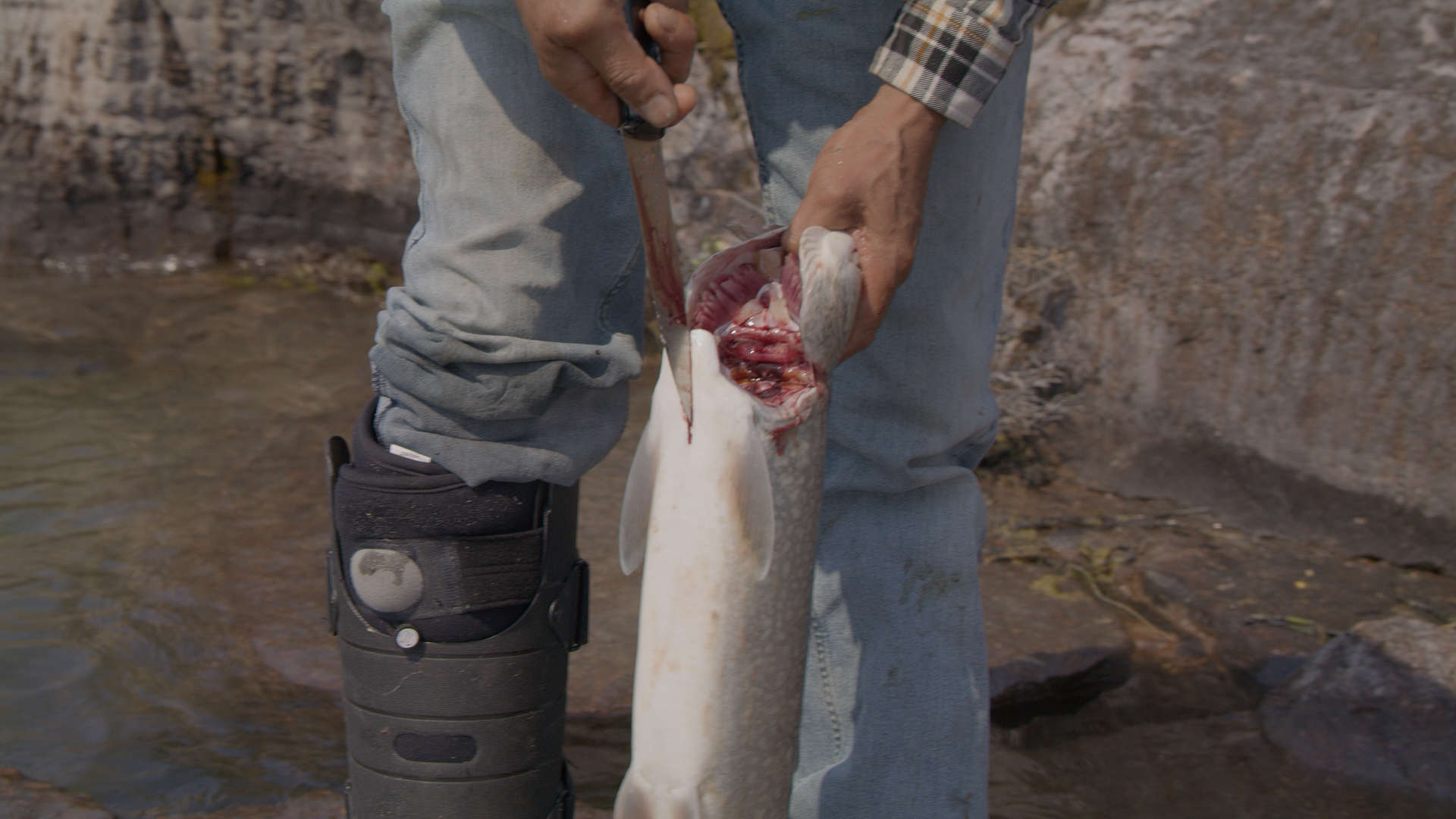 A still from Watchers of the Land.