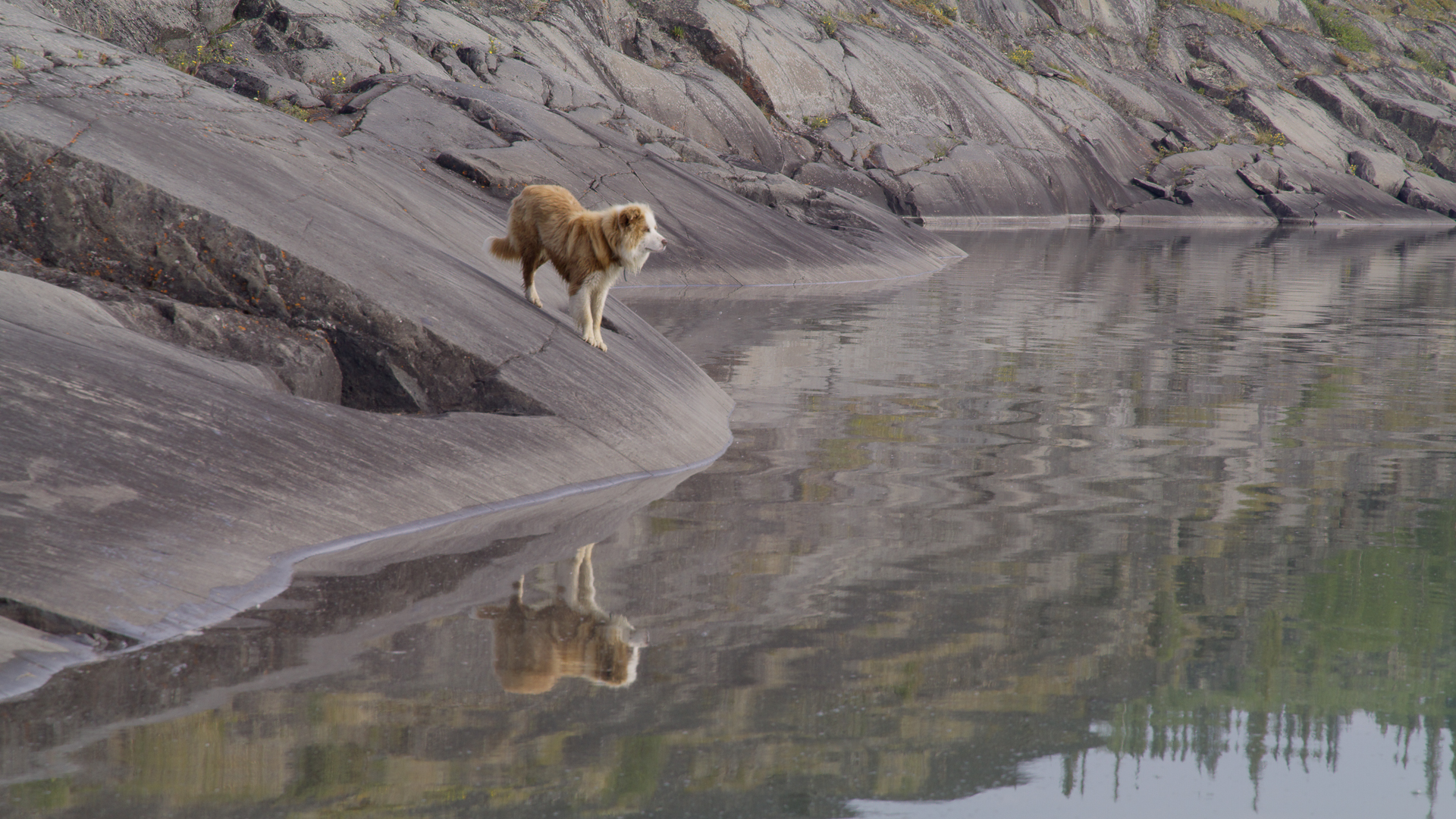 A still from Watchers of the Land.